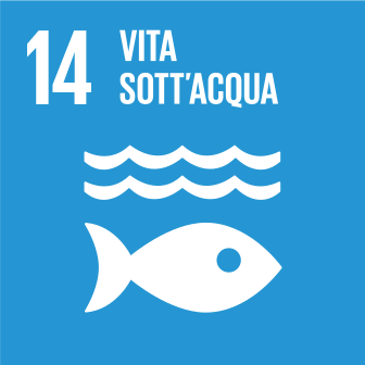 Obiettivo 14 dell'Agenda 2030 per lo sviluppo sostenibile: Vita sott’acqua